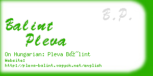 balint pleva business card